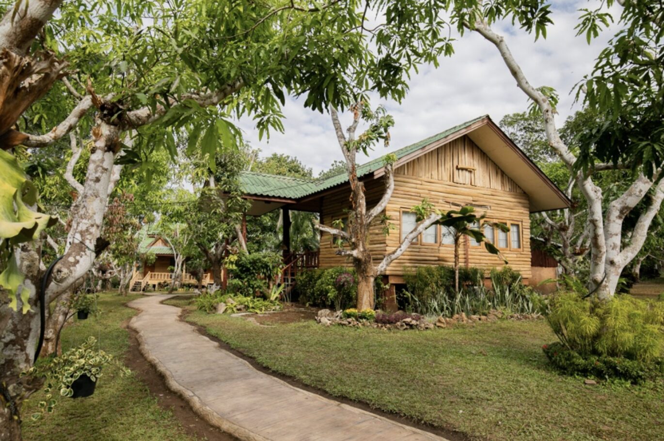 A wooden bungalow among mango trees, a stone path curving past it