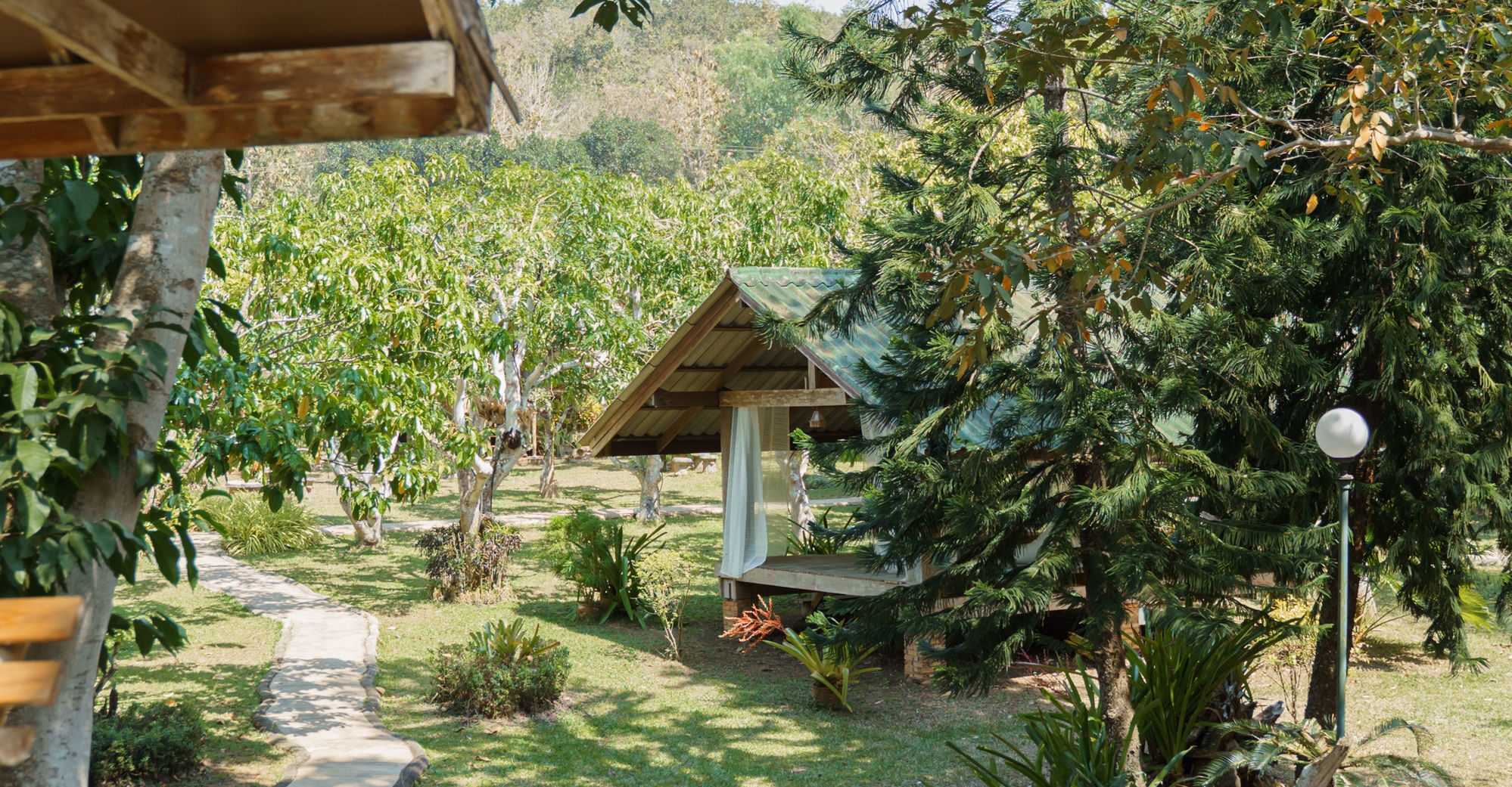 Garden paths winding between bungalows and tall trees in the green grounds